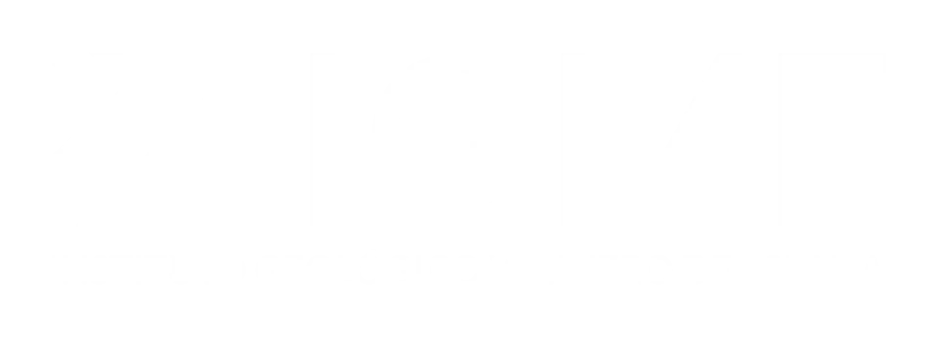 Logo IGME blanco