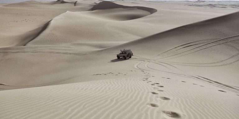 Grupo de Investigación en Paleontología de Ecosistemas Terrestres y Marinos: Respuesta a las Crisis Bióticas y Ambientales del Fanerozoico