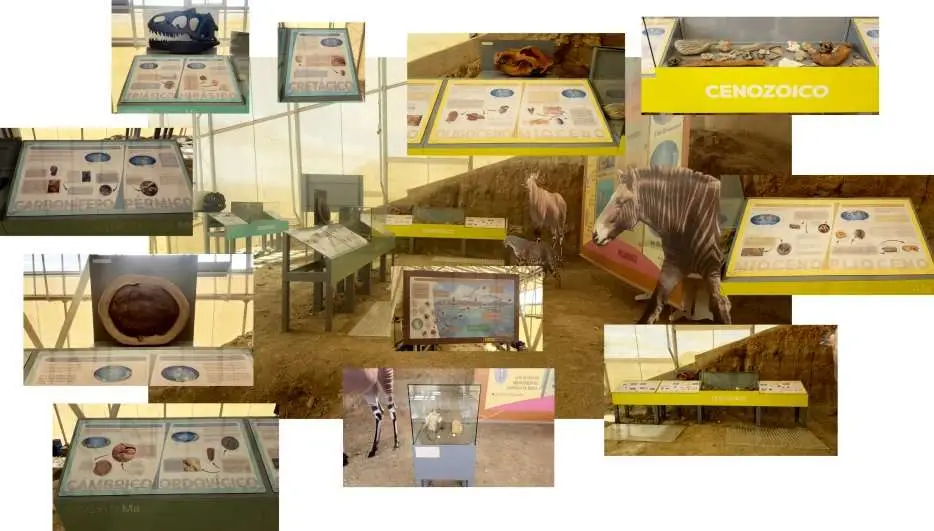 Estación paleontológica Valle del río Fardes 6 Modulo divulgativo Historia Tierra Vida