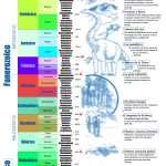 Poster El Tiempo Geologico actualizado 2013 1