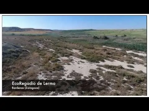 Promotional video of the AgroSOS project