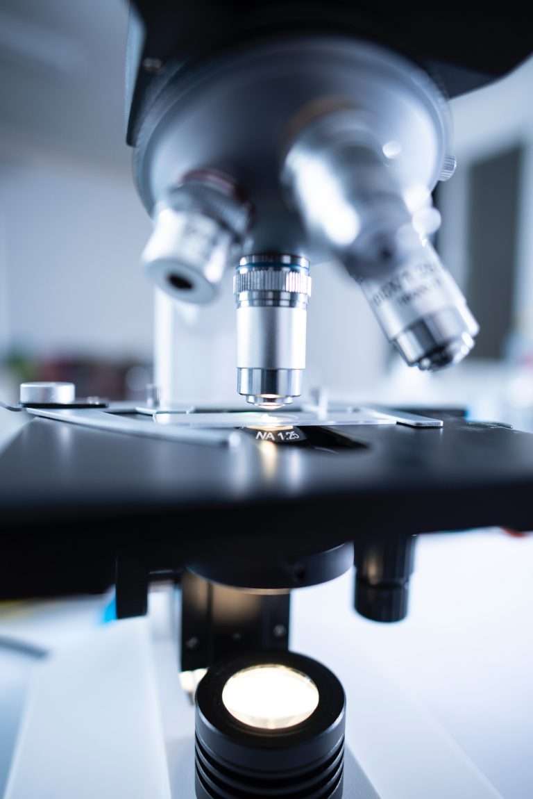 Servicio de Laboratorio de Microscopía Aplicada/Visión Artificial