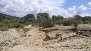 Actividad 3