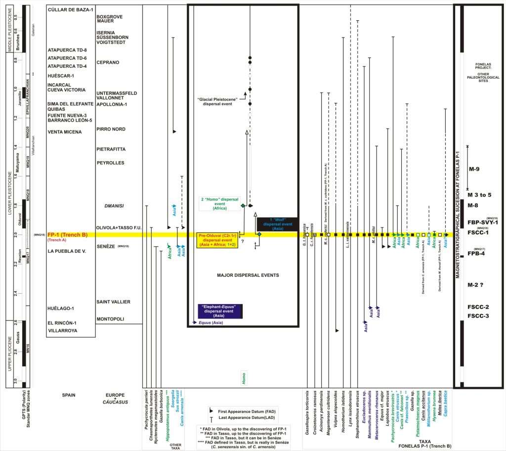 Información cronológica 1 Síntesis de la información bioestratigráfica de Fonelas P-1
