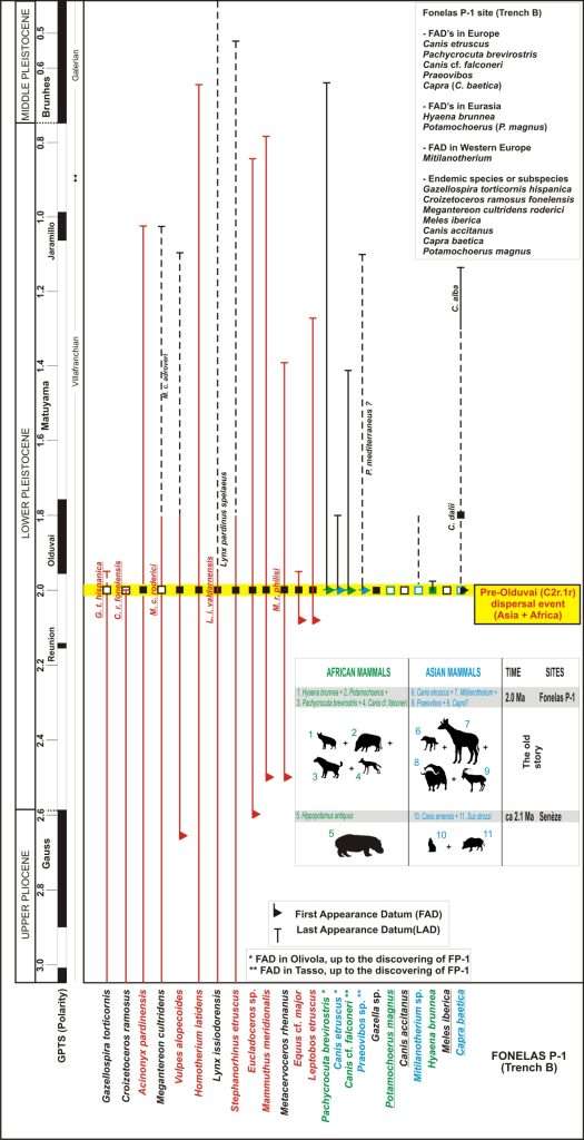 Información cronológica 3 Esquema bioestratigráfico de la asociación faunística de grandes mamíferos localizada en Fonelas P-1