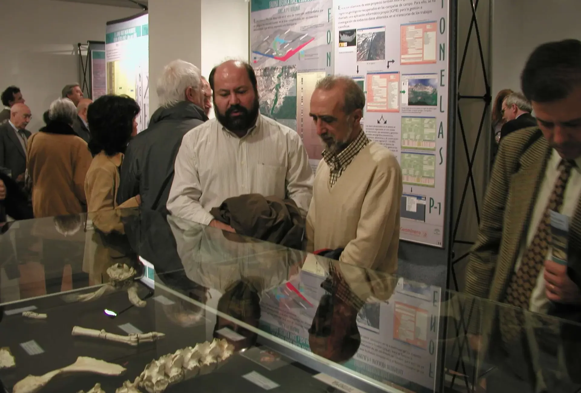 El largo viaje hacia Occidente. Fauna ibérica hace 1.800.000 años