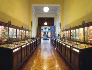 n estas vitrinas podemos observar la colección de paleontología sistemática de Invertebrados