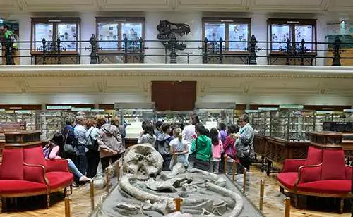 Museo 16 Didactica_museo_500