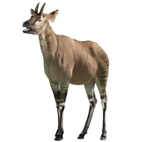 Artiodáctilos 8 Reconstrucción de Mitilanotherium procedente de Fonelas P-1 (R. Uchytel)