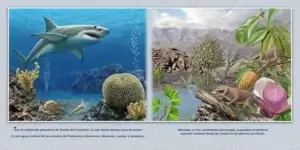 Nuevos paneles expositivos situados en los pasillos de acceso al Museo Geominero