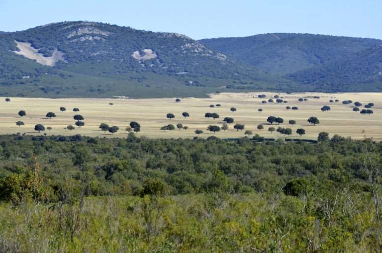 Parque Nacional de Cabañeros