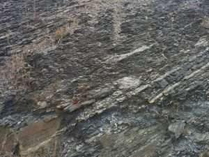 Unidad Central (SO Macizo Ibérico)