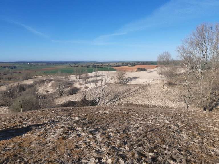 Proyecto TI-RRES