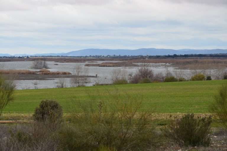 Parque Nacional de las Tablas de Daimiel