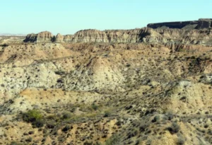 Centro Paleontológico Fonelas P-1