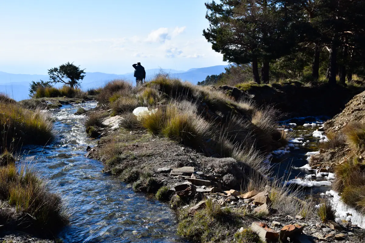 Proyecto 15 Imagen portada proyecto WASHA