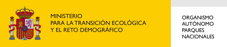 MITECO_LOGOS_sinvp_2020-02