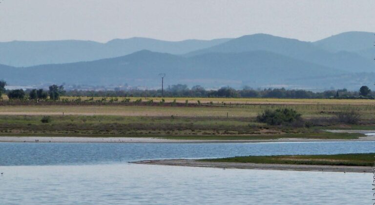 Lagunas mesetarias de La Mancha