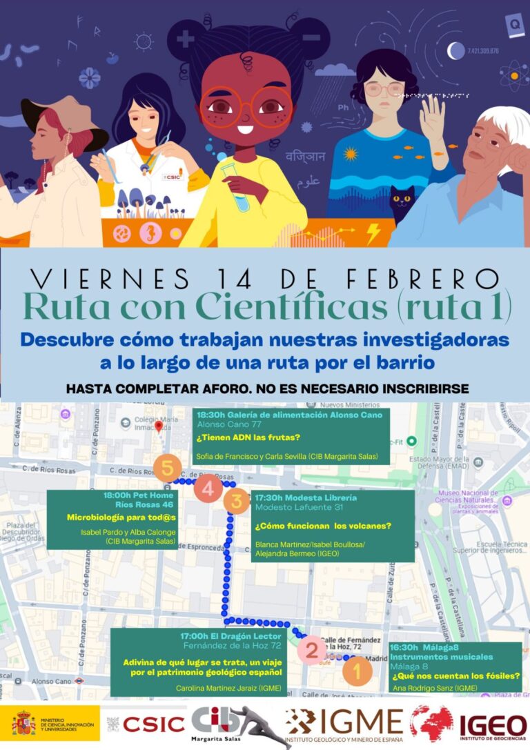 Ruta 1