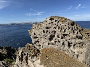 Comprender los procesos de biodeterioro