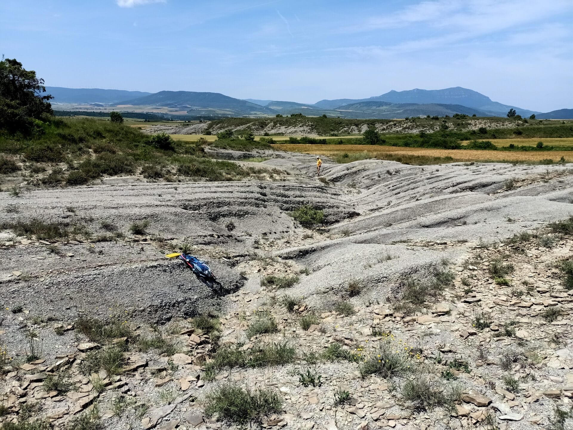 Fijar el límite inferior del piso Bartoniense