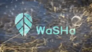 Documental Proyecto WaSHa