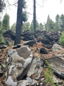 Vista del efecto de lajamiento por efecto del incendio
