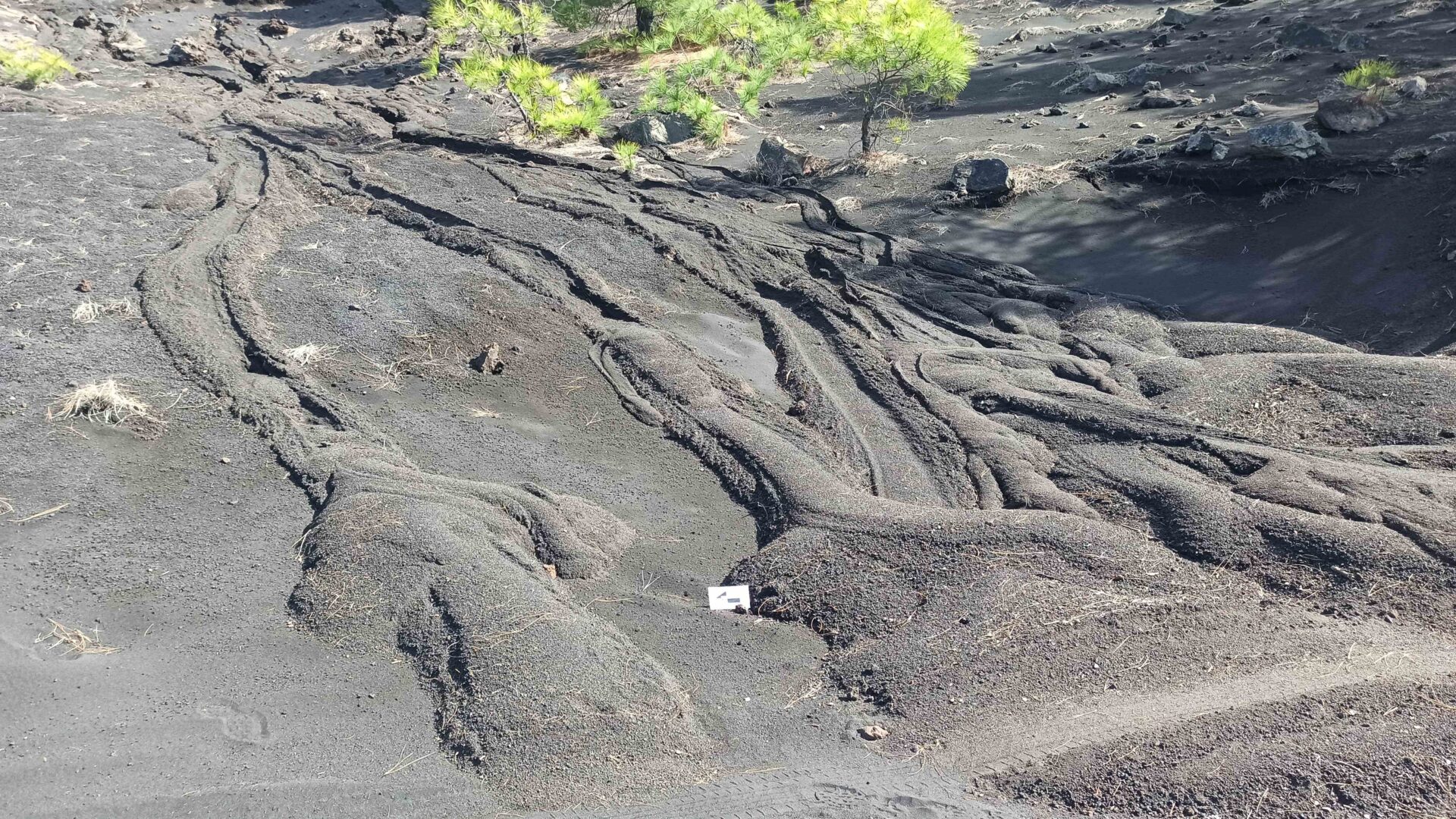 Evaluación de peligros y la mitigación de riesgos