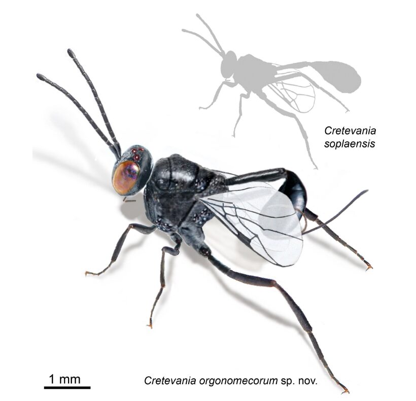 Herrerías, Cantabria
