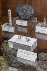 exposicion museo 2026