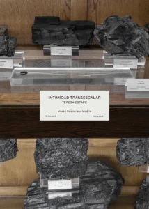 Expo teresa estape-museo